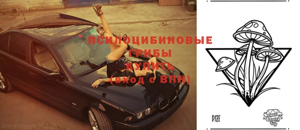 spice Богданович