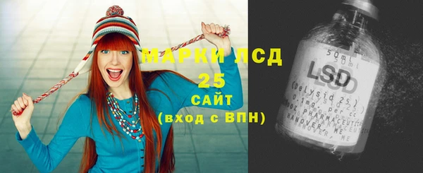 spice Богданович