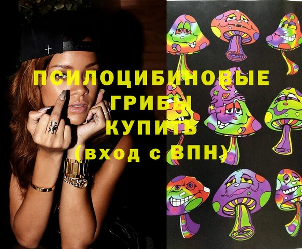 гидропоника Богородск