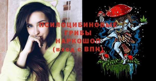 гидропоника Богородск