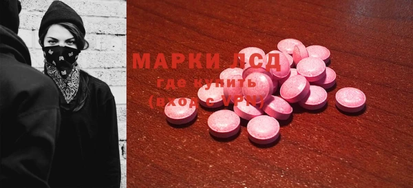 spice Богданович
