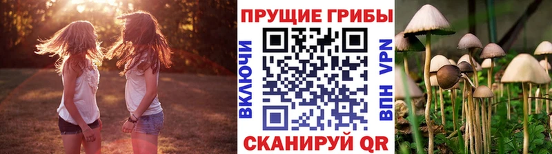 Галлюциногенные грибы MAGIC MUSHROOMS  где найти наркотики  Нерчинск 